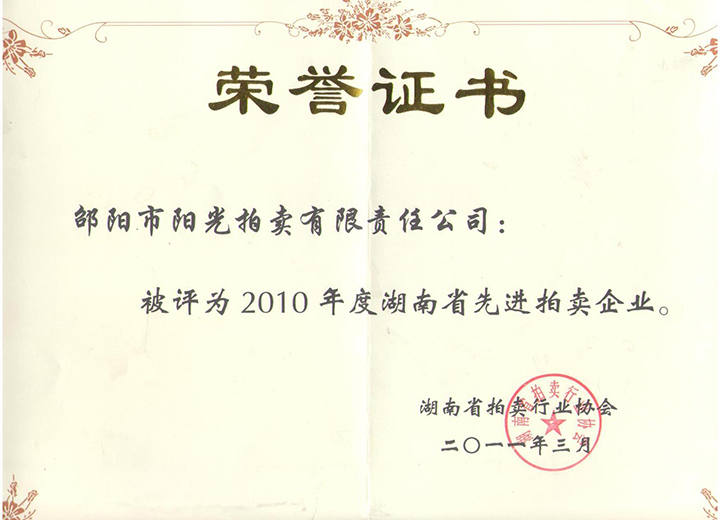 2010湖南省先进拍卖企业