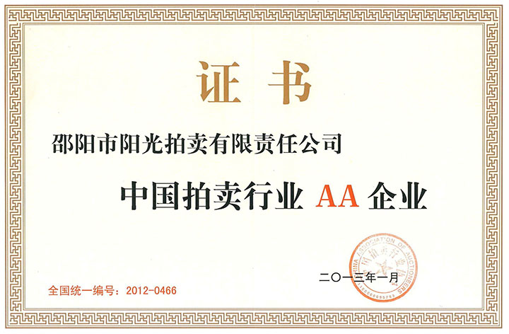 2013年中国拍卖行业AA企业
